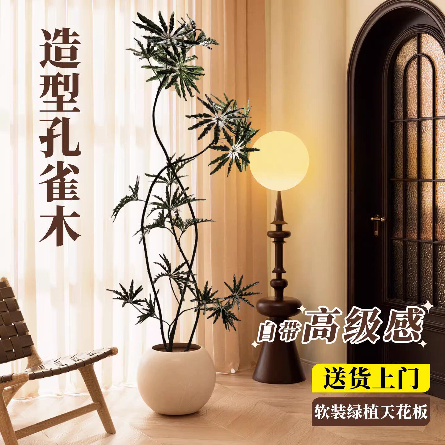 孔雀木绿植室内客厅高级感大型落地办公室盆栽观叶植物四季好养活