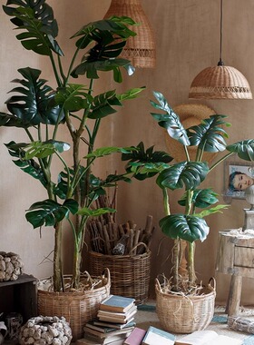 龟背芋彷真绿色植物高端轻奢客厅装饰摆件大型彷生植物沙发边落地