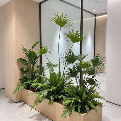 玄关隔断造景大型绿植成品