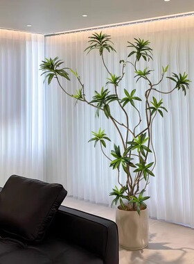 百合竹彷真绿色植物盆栽大型室内装饰花摆件客厅落地树高级彷生假