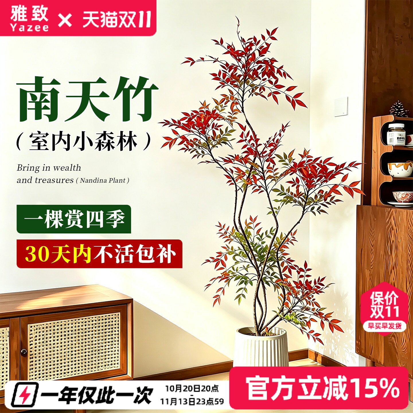 南天竹盆栽室内绿植造型真树火焰红老桩客厅办公室落地植物好养活