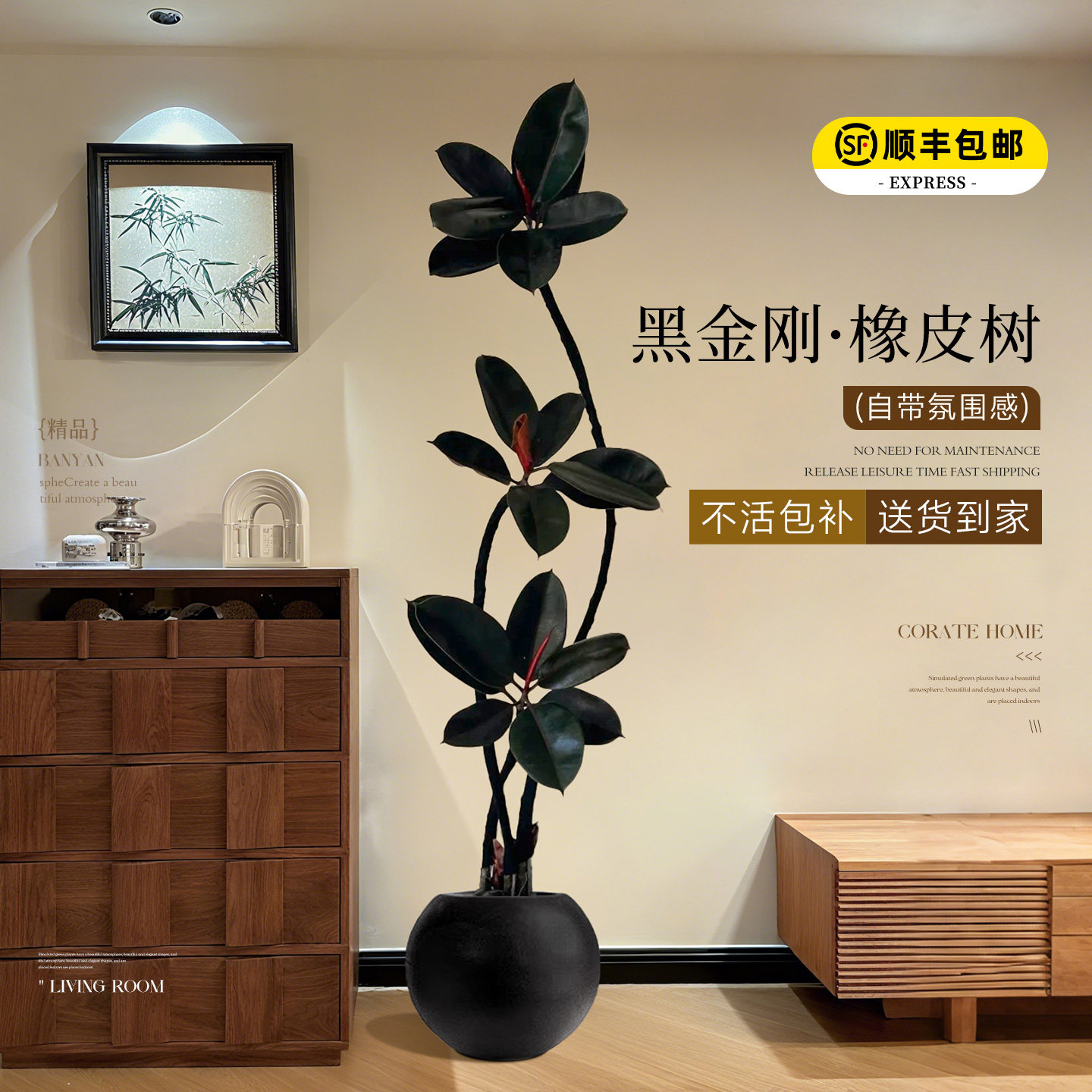 黑金刚橡皮树客厅大盆栽