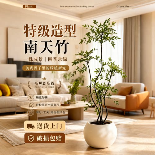 南天竹盆栽客厅绿植室内高级感真树办公室大型植物高端大气上档次