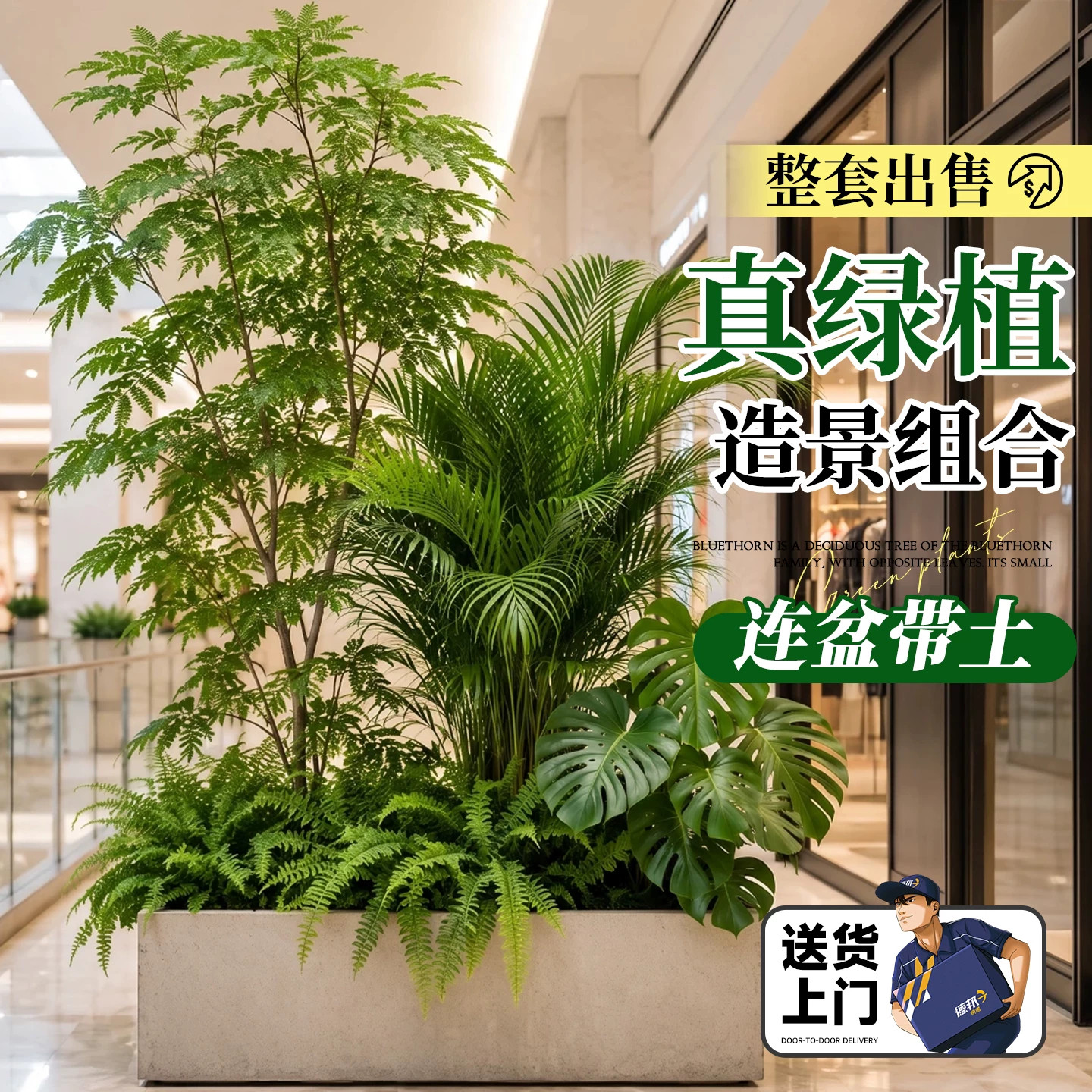 大型绿植成品组合盆栽高端轻奢公司商场会所走廊橱窗造景真绿植物