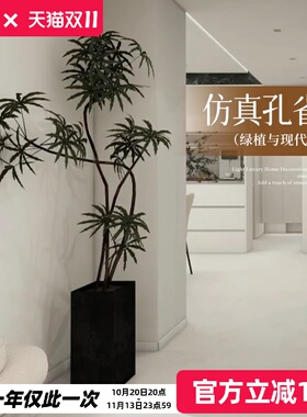 仿真绿植盆栽孔雀木落地装饰摆件