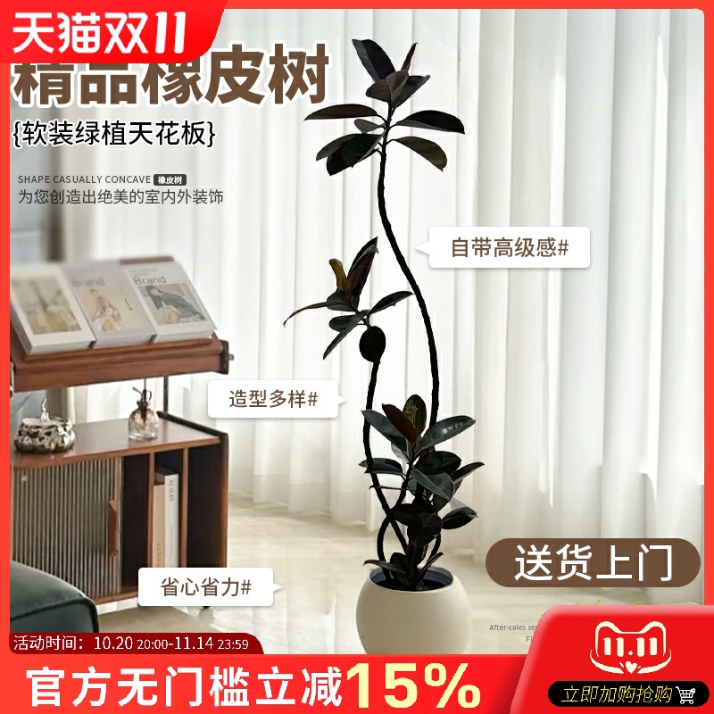 黑金刚橡皮树客厅大盆栽ins北欧高级