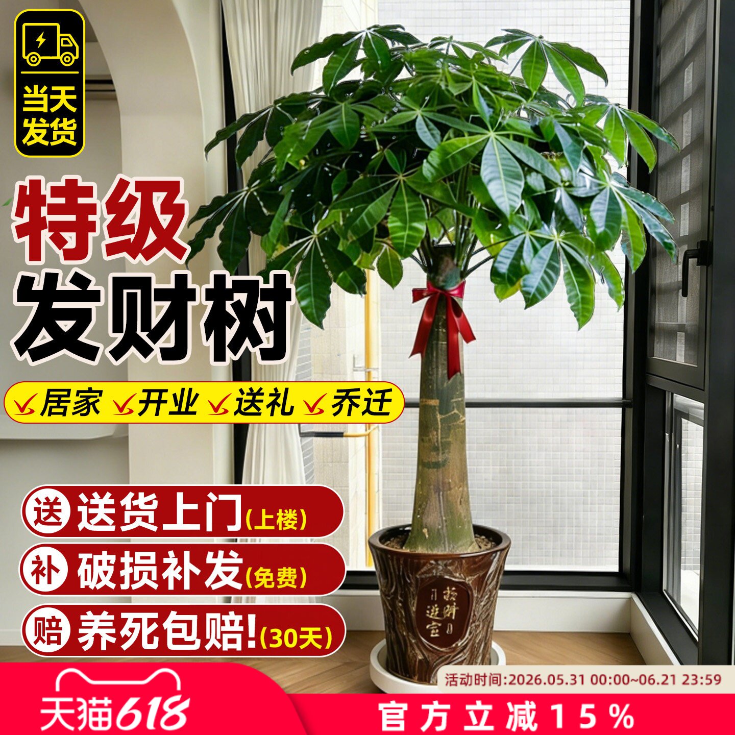 发财树客厅大盆栽招财树室内好养大型绿植物乔迁开业送礼植物盆栽