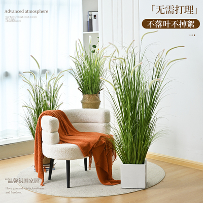 狗尾巴草仿真花芦苇草仿生绿植室内橱窗猫尾草团花箱落地装饰造景