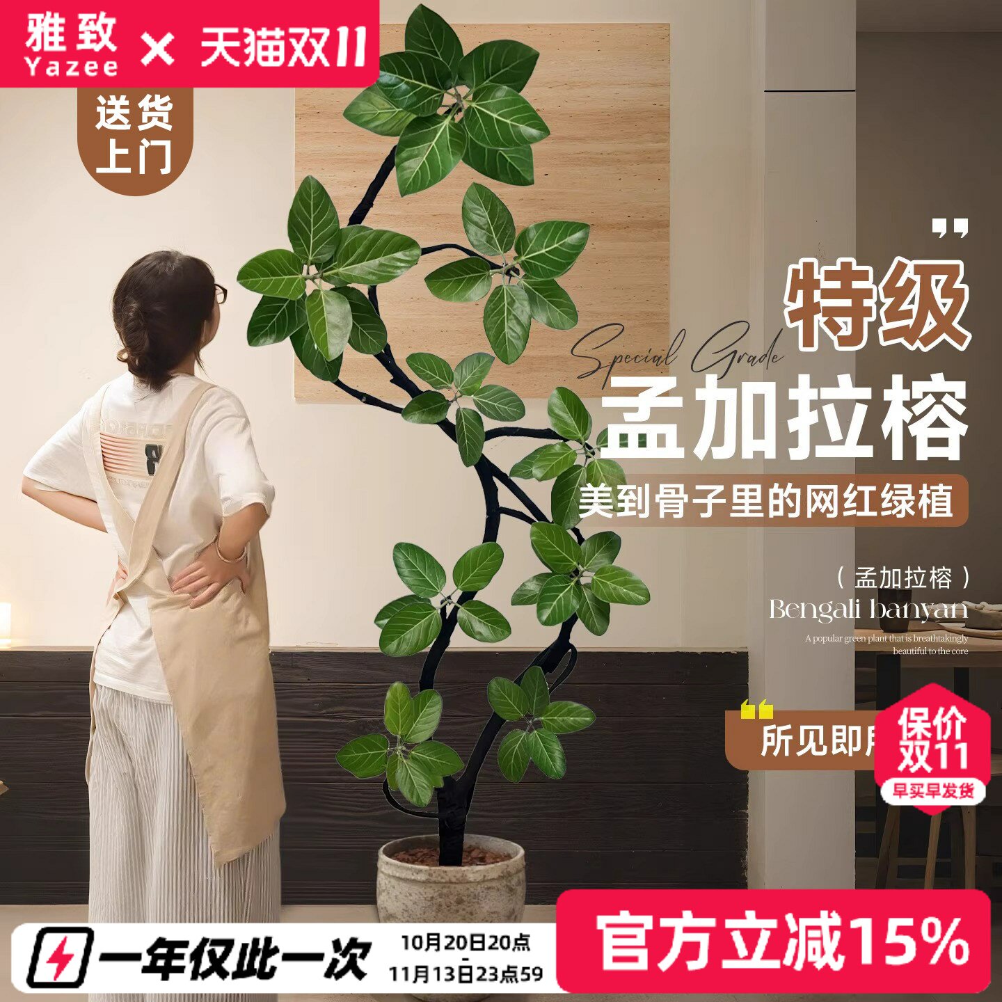 孟加拉榕树客厅绿植落地式大型黄金榕高级感绿植物高端大气上档次