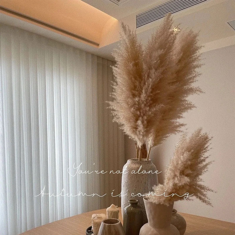 芦苇干燥花花束网红真花客厅摆设蒲苇大穗天然落地室内ins摆件彷