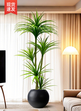 模拟绿色植物龙血树饰品模拟花假树植物彷生优雅可及豪华客厅落地