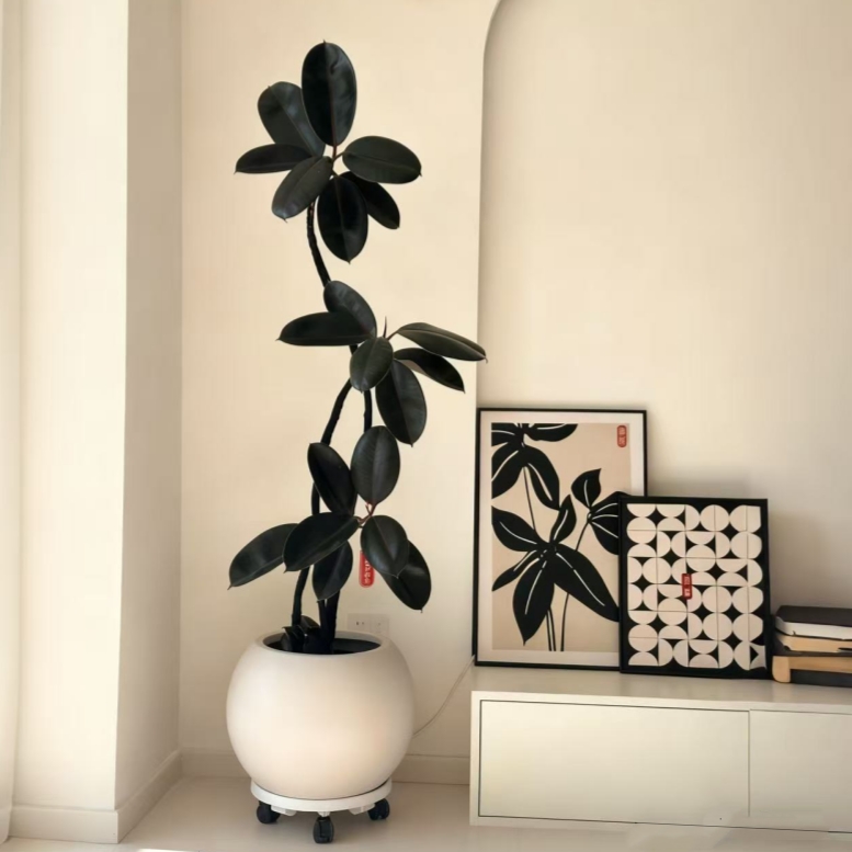 仿真绿植黑金刚高端轻奢