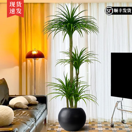 仿真绿植龙血树造景高端轻奢客厅室内装饰大型盆栽高级感落地摆件