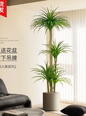 龙血树彷真绿色植物假植物轻奢客厅装饰树室内大型盆栽落地摆件彷