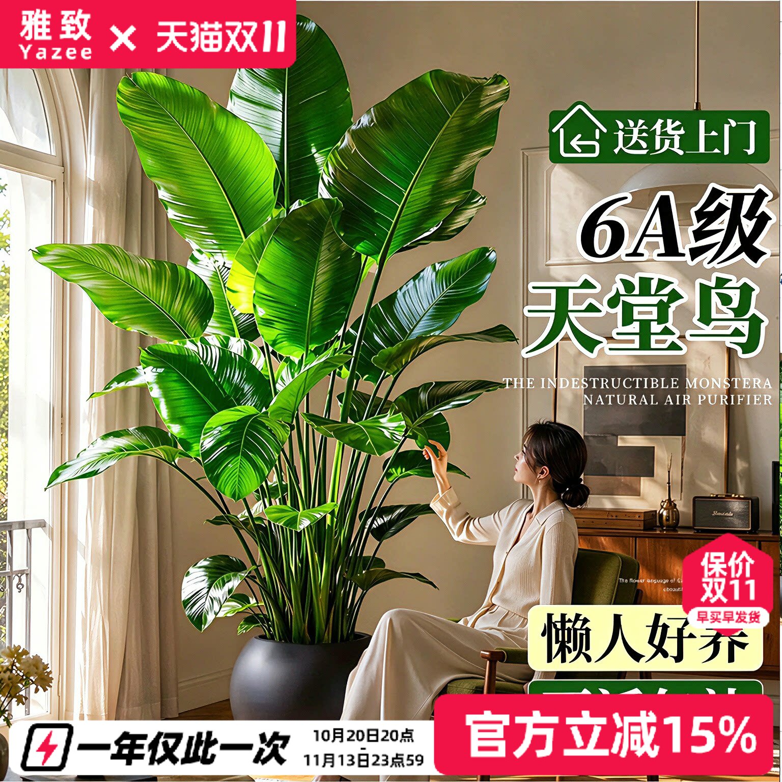 天堂鸟客厅绿植大盆栽室内高级感落地式大型绿植四季常青植物盆景