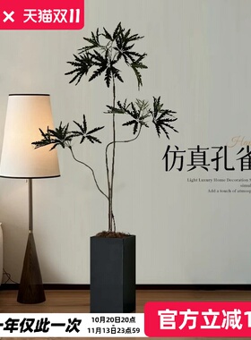 孔雀木仿生绿植客厅氛围树盆栽