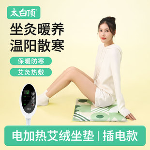 太白顶小野菊艾绒坐垫靠枕电加热屁股垫热敷毯包养生座椅艾灸坐垫