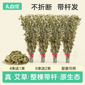 太白顶干艾草叶整棵挂门艾叶草坐月子洗头野生批发艾蒿泡脚洗澡包