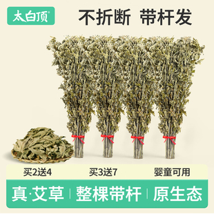 太白顶干艾草叶整棵挂门艾叶草坐月子洗头野生批发艾蒿泡脚洗澡包