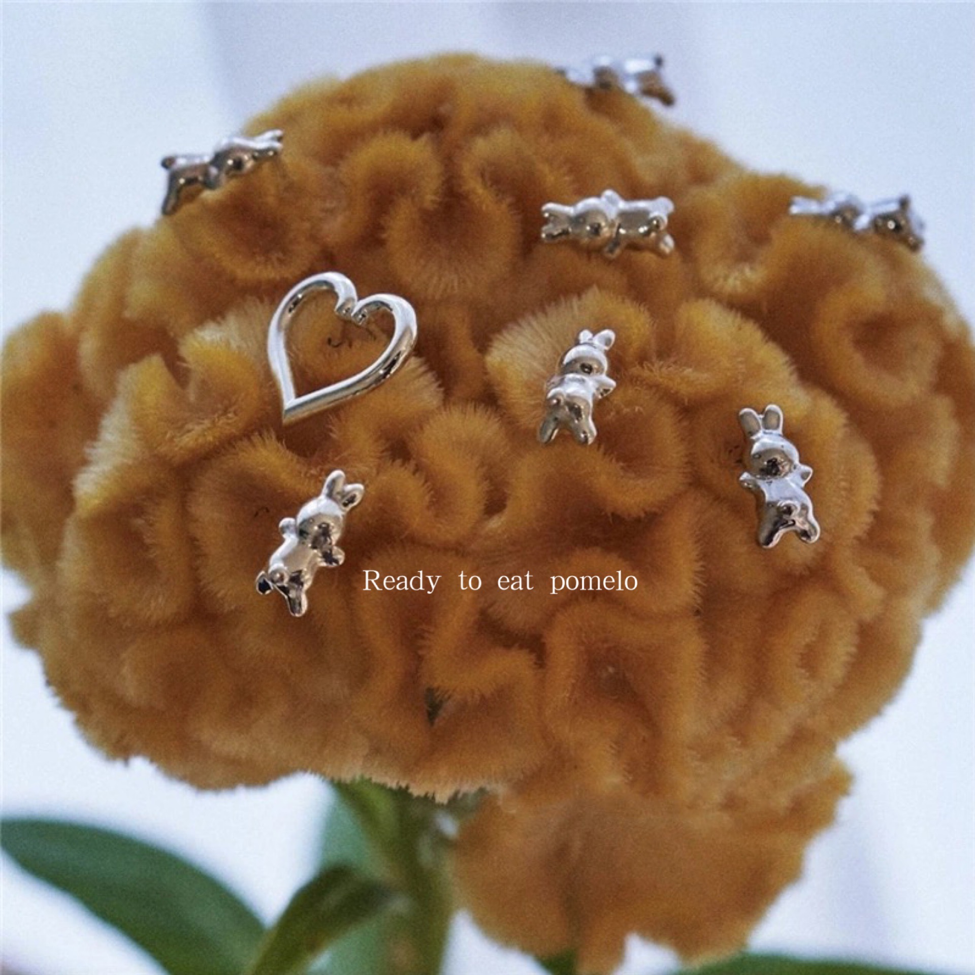 小众日系ins耳钉rabbits