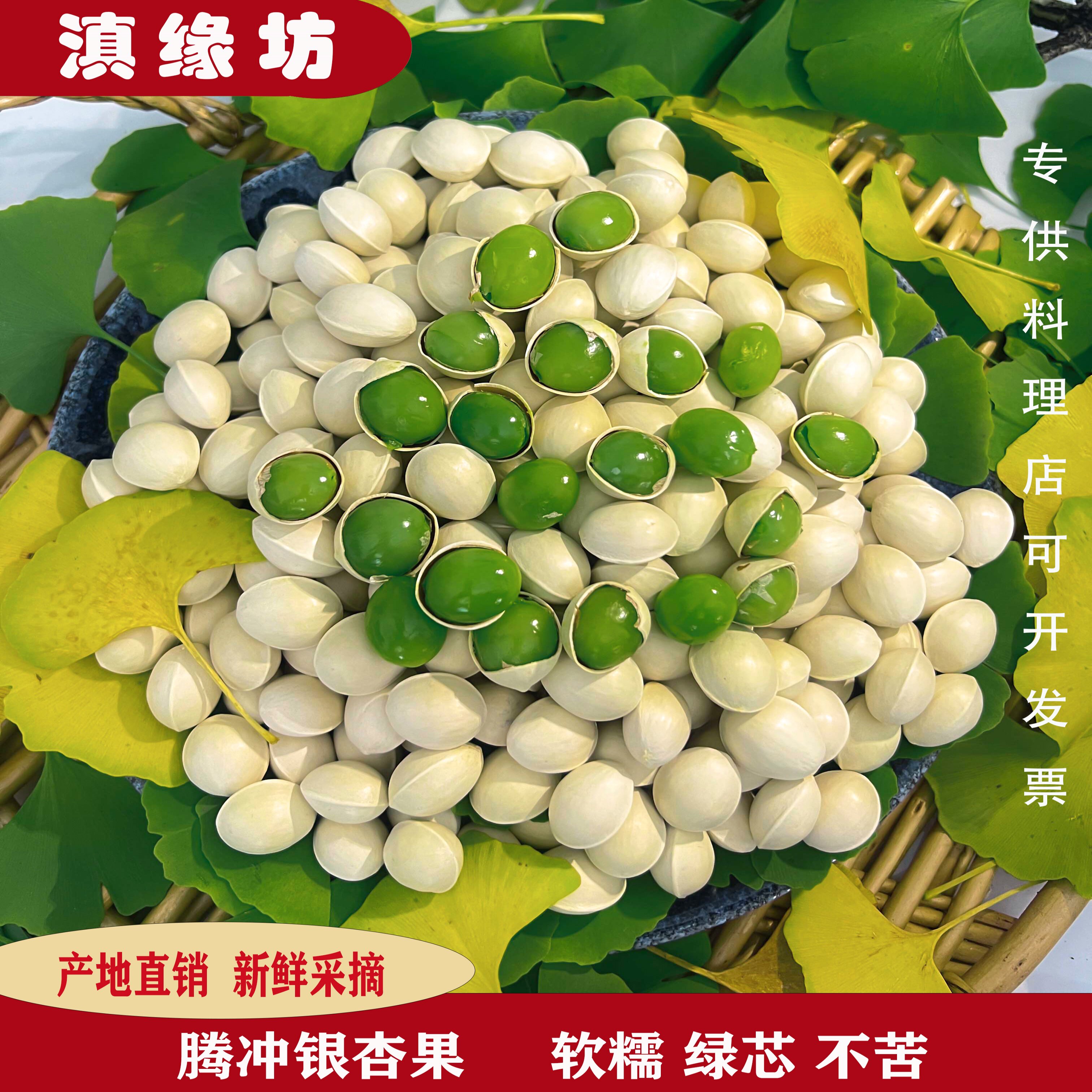 2026年云南腾冲新鲜糯白果银杏果古树绿芯香甜软糯无苦味包邮500g
