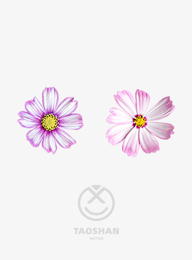桃山TATTOO波斯菊花朵粉色花朵防水纹身贴