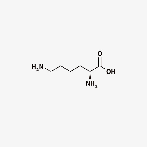 桃山化学分子式赖氨酸lysine仿真刺青文艺手臂小腿防水纹身贴纸