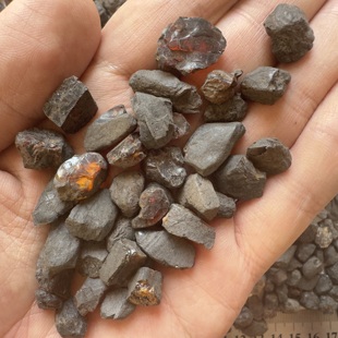 纯天然抚顺琥珀 小 金珀药珀原料 练手料 50克 原石DIY 假一赔十