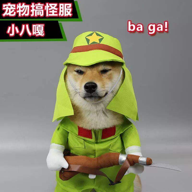 搞怪宠物狗狗小八嘎变身装 日本鬼子变身装 猫咪抖音搞笑八嘎衣服