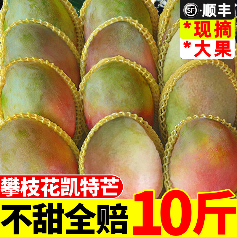 攀枝花凯特芒果新鲜10斤水果芒果整箱包邮当季特大青忙果新的礼盒|msdalam kategori daging perikanan/Buah-buahan segar dan sayur-sayuran/dimasak, buah-buahan segar, Mango - dari Buy2taobao.com untuk memberikan perkhidmatan ejen Taobao profesional membeli