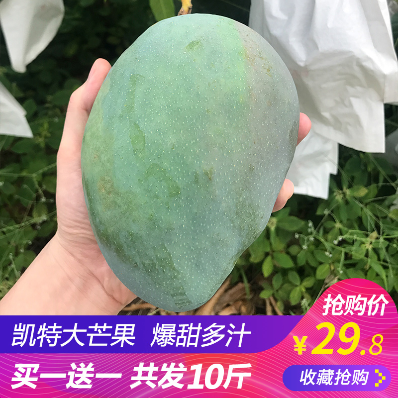 四川攀枝花凯特芒果10斤带箱热带现摘孕妇新鲜当季水果应季批发