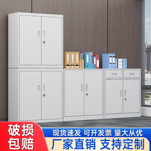 分双节铁皮文件柜办公室钢制档案柜财务凭证柜资料柜储物工具柜子
