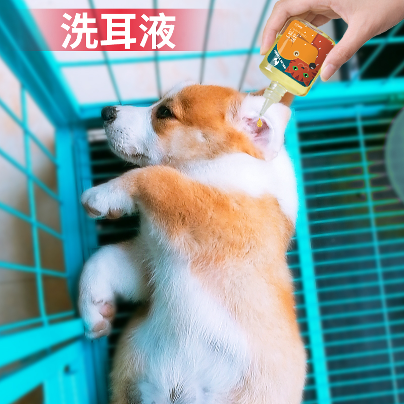 ¹·¶úòýȮè¶ú²¡Ò©Æ·