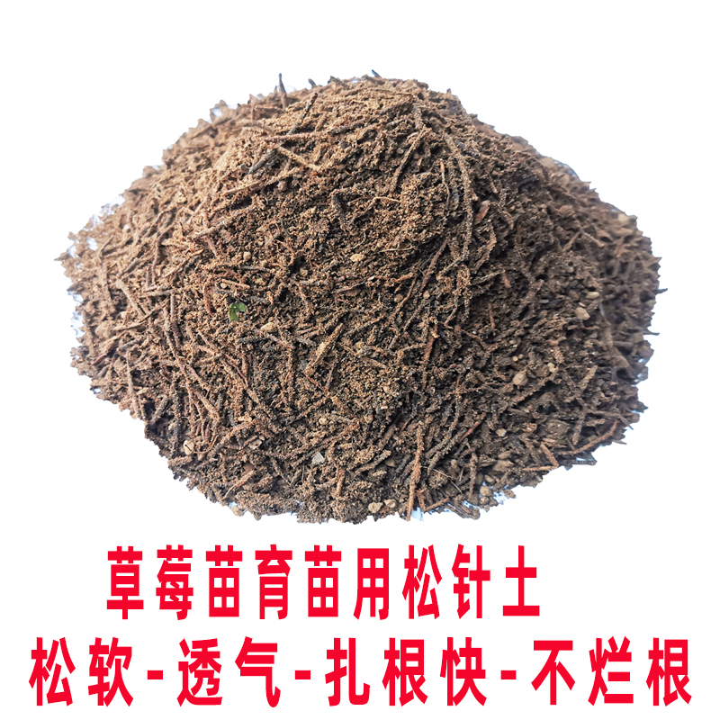 有机种菜草莓苗绿植专用土