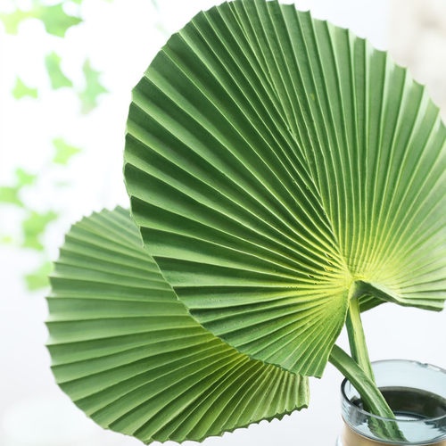 PU仿真花芭蕉叶 棕榈叶仿真植物插花葵叶 扇叶绿色大叶时尚家装