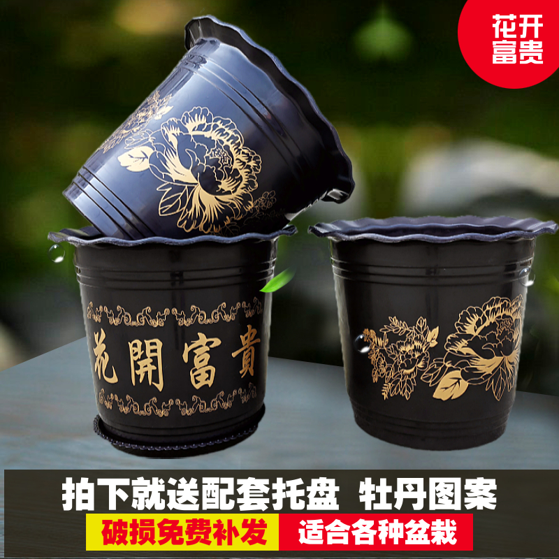 送托盘一个包邮破损包赔