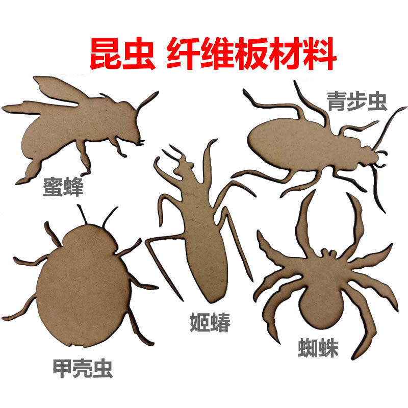 谷乐品昆虫环创材料包纤维板涂色蜜蜂青步虫甲壳虫姬蝽蜘蛛蚂蚁