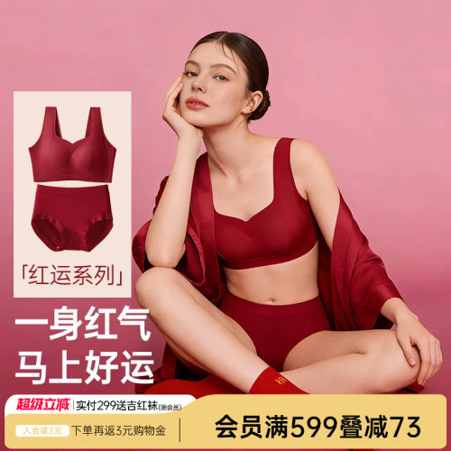 提拉聚拢防下垂内衣润微收副乳