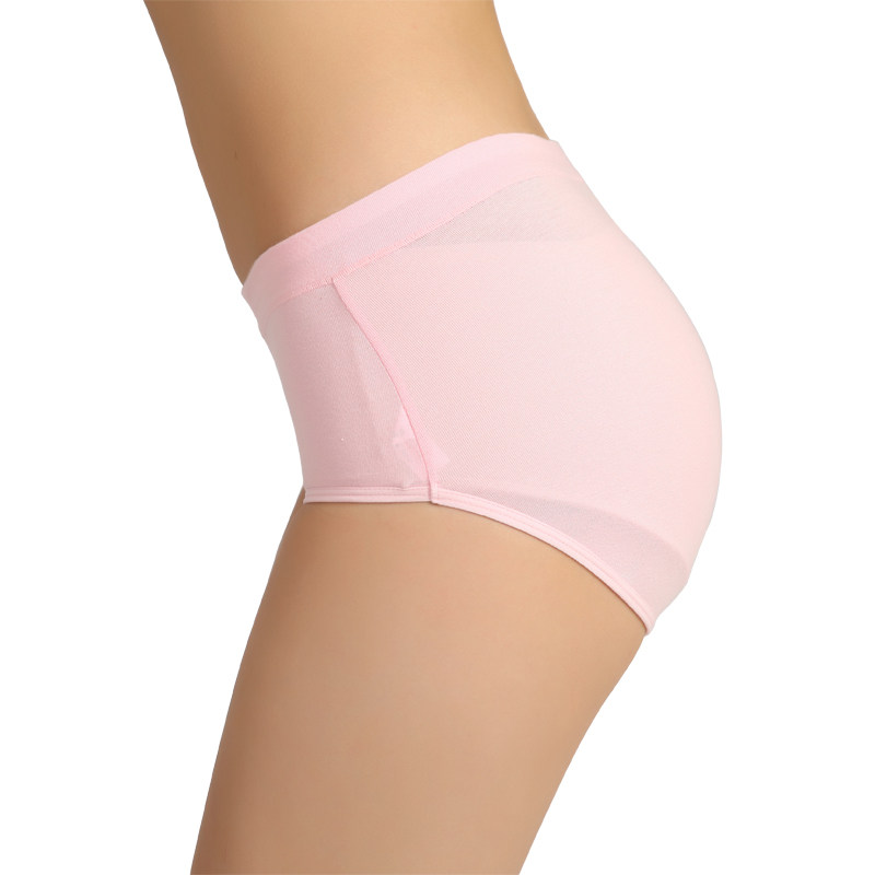 Slip jeunesse LS6053 en coton - Ref 669015 Image 3