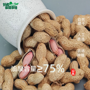 山东高油酸花生米去壳生花生米办公室零食人工挑选农场自种2025年