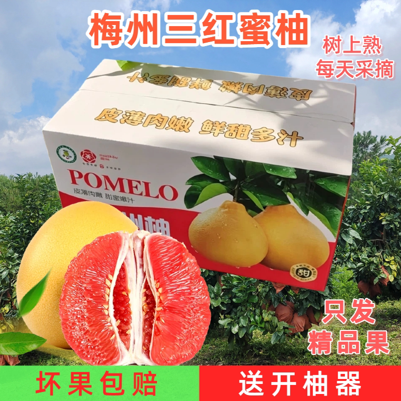 【中秋礼盒】精品果梅州三红蜜柚红肉柚老树柚子全国包邮送礼佳品