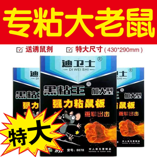 老鼠粘强力粘鼠板胶粘大老鼠老鼠贴正品家用强力胶粘王中王超大号