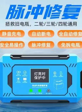 德国进口电动车保护器