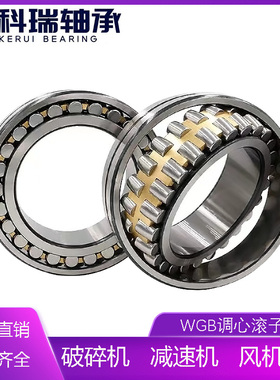 WGB无锡滚动3类21304 21305 21306 21307 21308 21309 21310CAW33