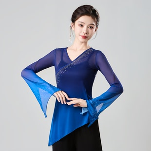 古典舞纱衣舞蹈服身韵练功服女上衣飘逸加钻艺考班服纱衣