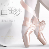 芭蕾舞鞋 成人女缎面舞蹈鞋 儿童专业考级鞋 足尖鞋 子女童跳舞练功鞋