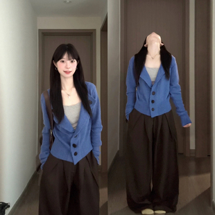 韩系慵懒风蓝色翻领毛衣外套女秋季气质修身短款长袖针织开衫上衣
