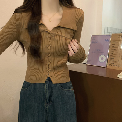 早秋穿搭韩系氛围感Polo领长袖针织衫上衣可外穿小个子短款毛衣女