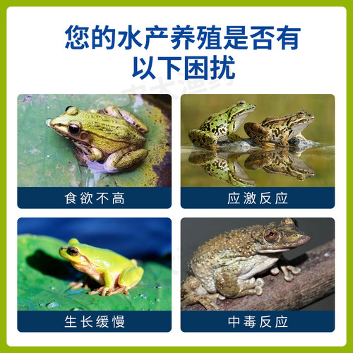 蛙多维蛙类维生素免疫力水产鱼药