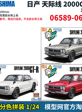 模型网 免胶分色拼装 青岛社 1/24 日产 天际线2000GT-R 06589-91